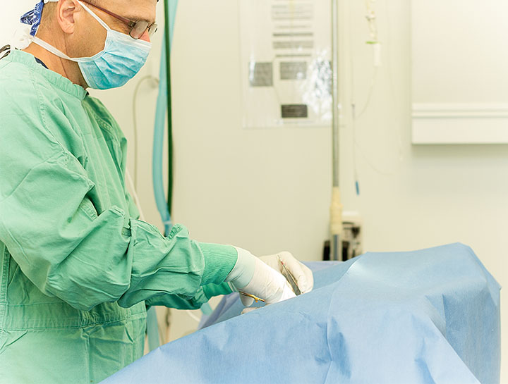 $City Veterinary Surgeries